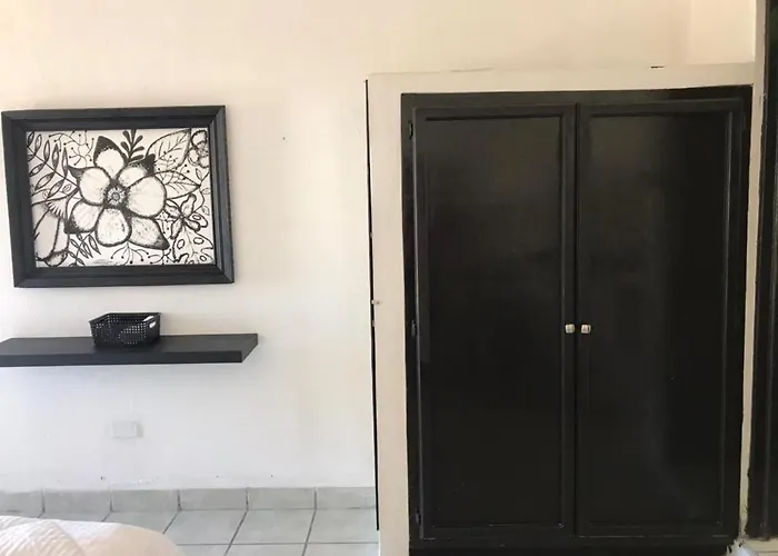 The Next Door Black And White Studio In Cabo Apartamento Cabo San Lucas